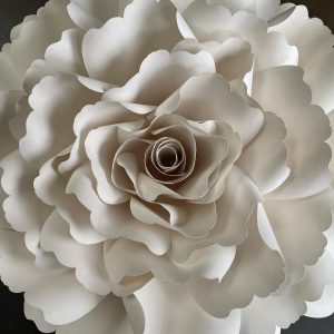 5D51B216-EF33-4077-A75F-CECBBC60CC01-1